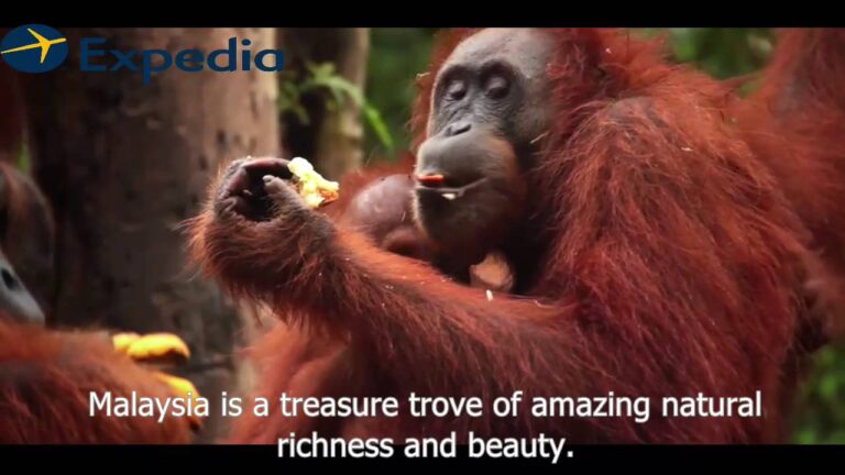 Malaysia Vacation Travel Guide Expedia